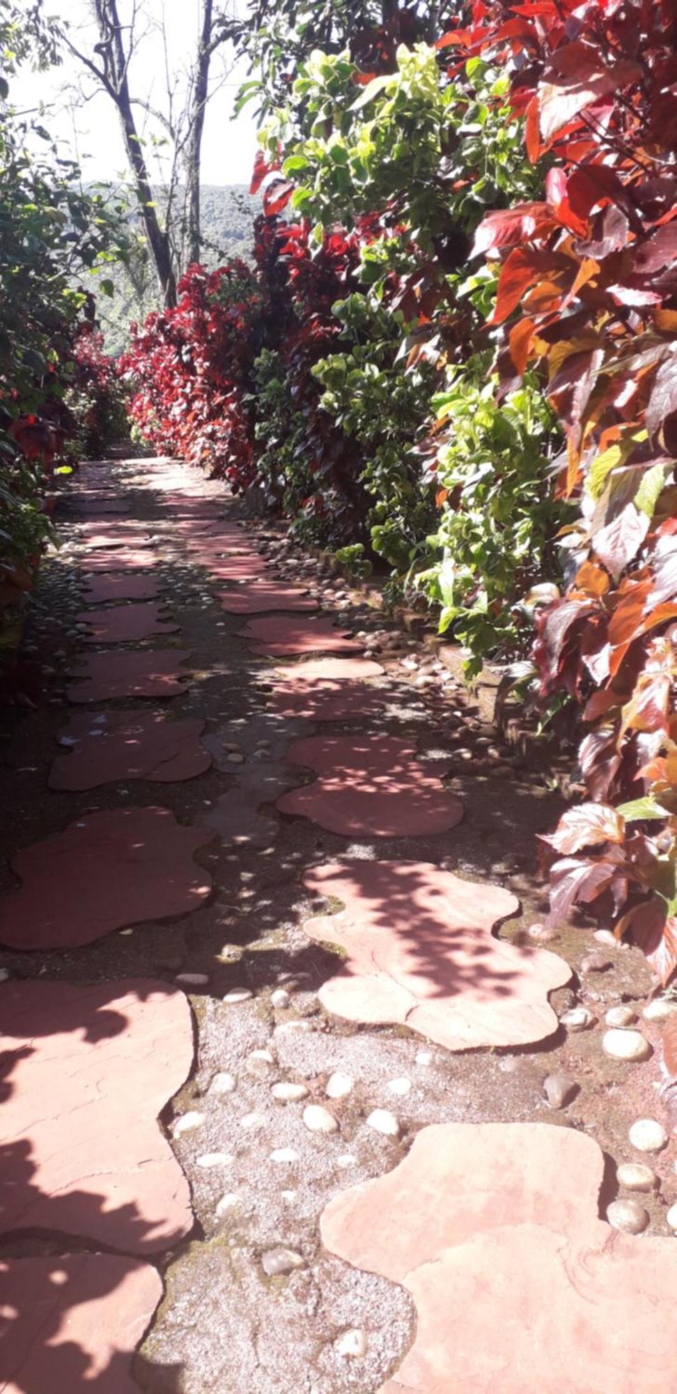 Strawberry Country Villa Mahabaleshwar Bilik gambar